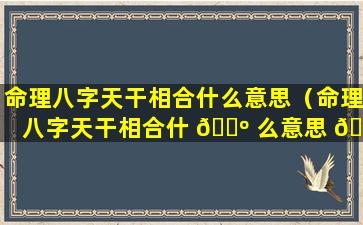 命理八字天干相合什么意思（命理八字天干相合什 🐺 么意思 🌻 呀）